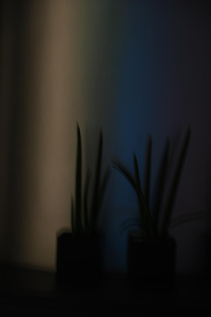 DSC_0031