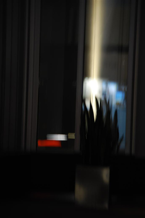 DSC_0035