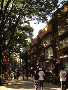 同潤會青山apartment